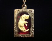 RESERVED For Element8394. Payment 1 of 2. Memento Mori Necklace, Mummified Fetal Mouse Pendant, Mummy Fetus Jewelry