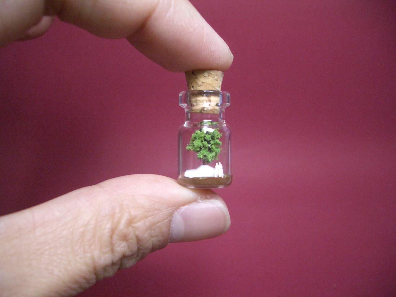 A couple is beside a brand new car in a tiny bottle