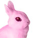 June avatar