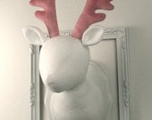White Buck Stuffed Taxidermy
