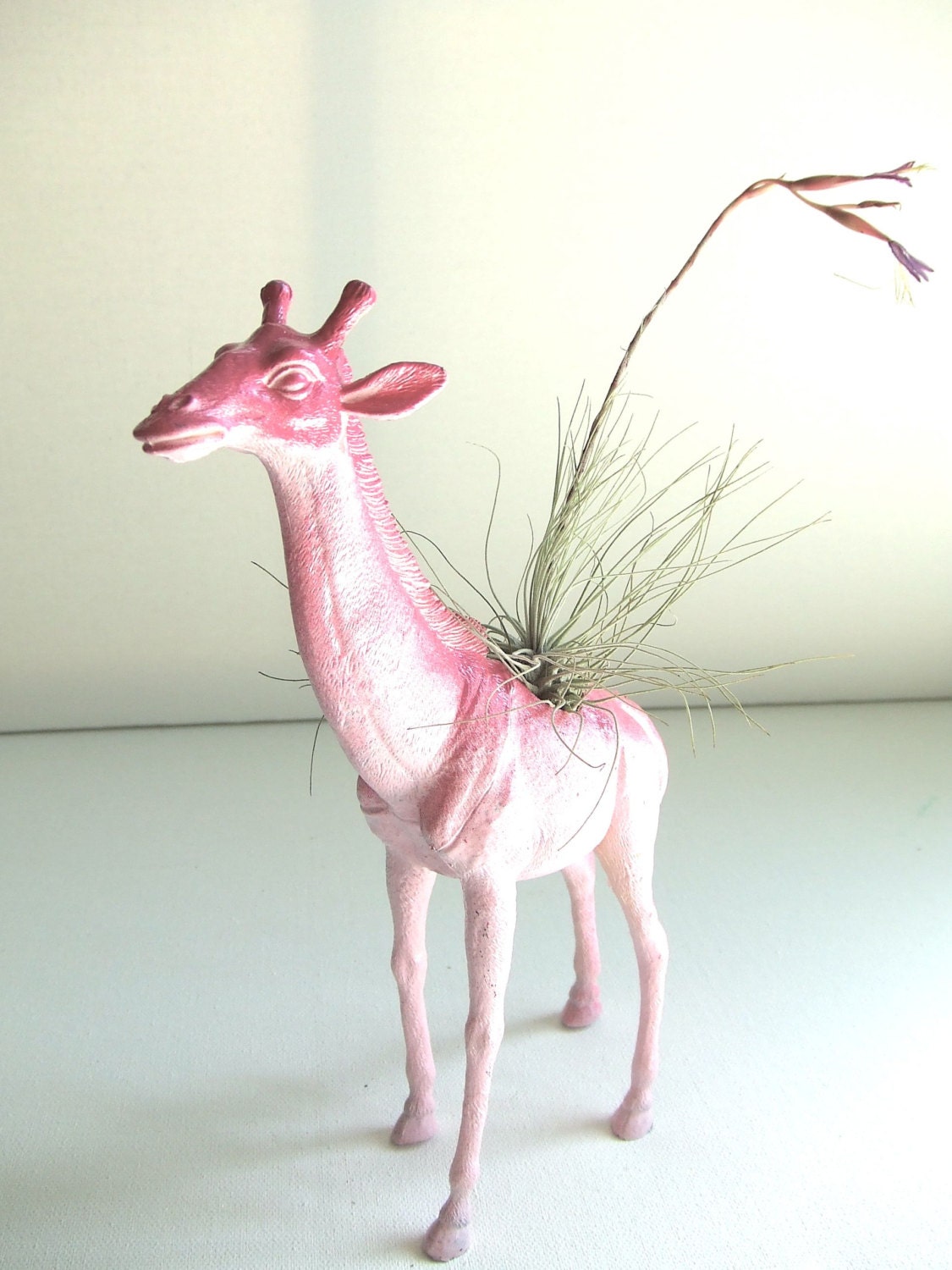 Airplant Planter- Pink Ombre Giraffe