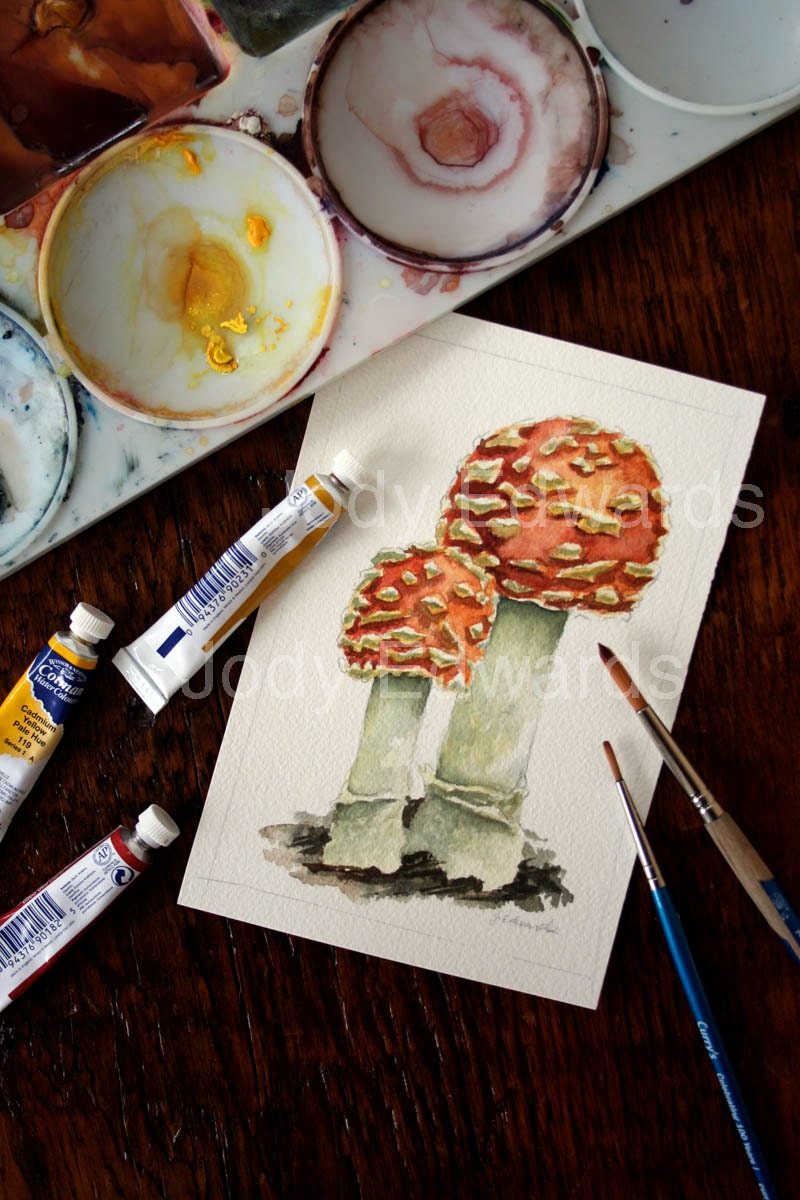 Woodland Mushrooms - Original Watercolor - Nightly Study 270