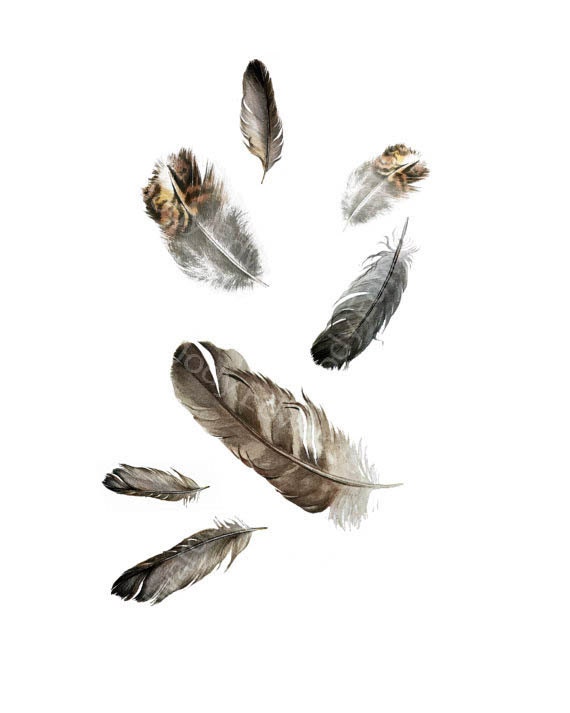 Floating Feathers - Archival Print of Found Feathers Watercolour painting of feathers