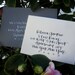 Modern Calligraphy for Wedding Envelopes - featherletter CLASSIC
