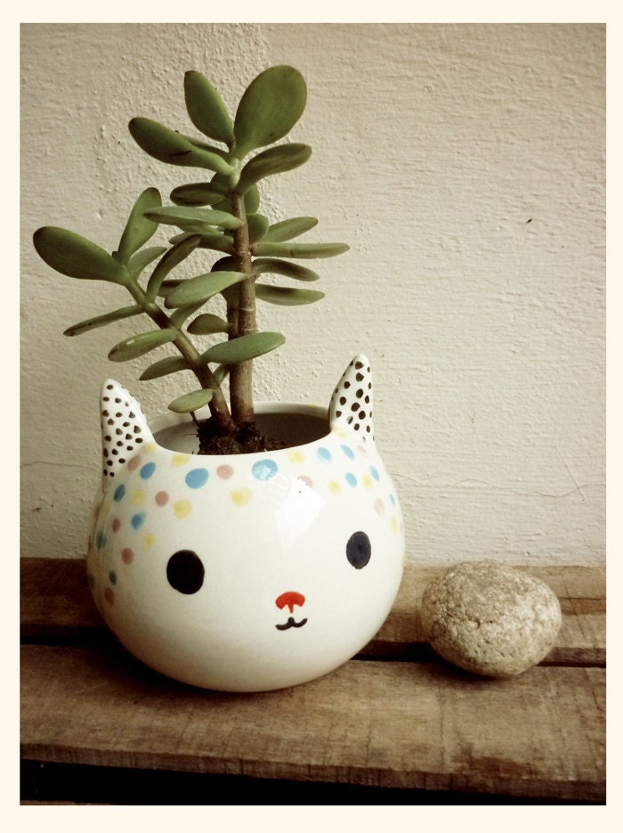 Cat pot