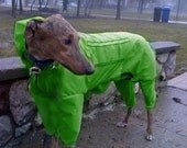 Tootlewear's Sighthound Full Body Rainsuit XLARGE