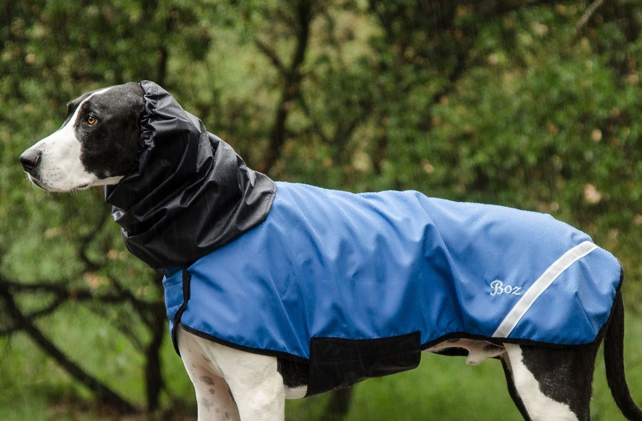 Tootlewear's Great Dane Raincoat  Large