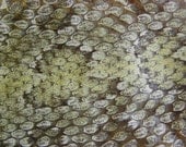 Cruelty Free 39" REAL Rattlesnake Rattler Skin Shed Head Skin Religious Educational Magic Spell Cruelty Free