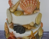 edible sea shells with sand natural color set of 65