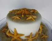 edible sea starfish with sand natural color set of 21