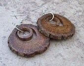 Rustic Oak Tree Branch Wood Earring, Wooden Hoop Earring, Surgical Steel Ear Wares  - Great Gift For Her - 827