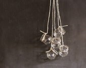 Hanging glass, Vintage French ventouses, Planters, Home decor