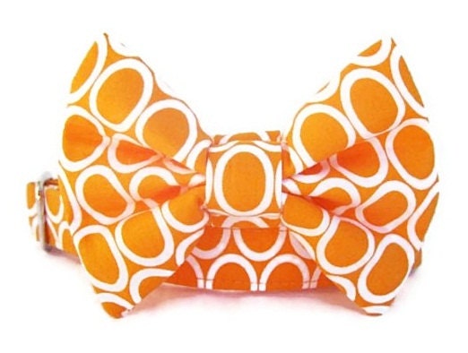 Bow Tie Dog Collar - Circles On Tangerine - Nickel Hardware