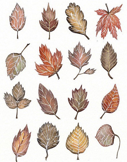 Original Watercolor Painting - Leaves collection No 1 - Art by Lorisworld (8 x 10 inches)