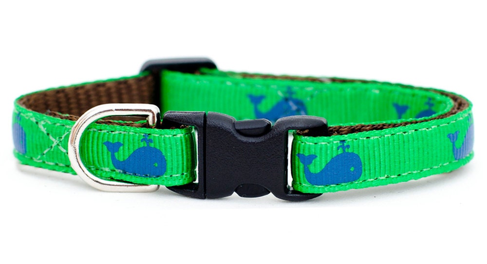 Cat Collar - The Big Catch