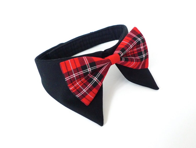 Accessories -Shirt Collar Preppy Red-