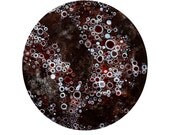 small magellanic cloud print