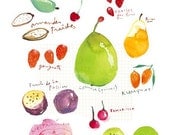 Fruit print, Kitchen art, Spring fruits poster, Watercolor painting, 11X14, Seasonal, Botanical Wall decor