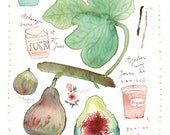 Fig jam recipe watercolor painting print, 11X14 poster, Kitchen art, Fruit illustration, Fruit home decor, Food botanical wall hanging