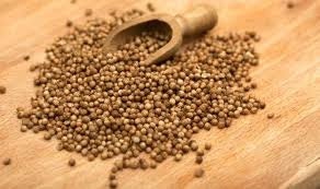 whole organic coriander seeds ( Mexican, salsa, spice, culinary, healing, love, cilantro )
