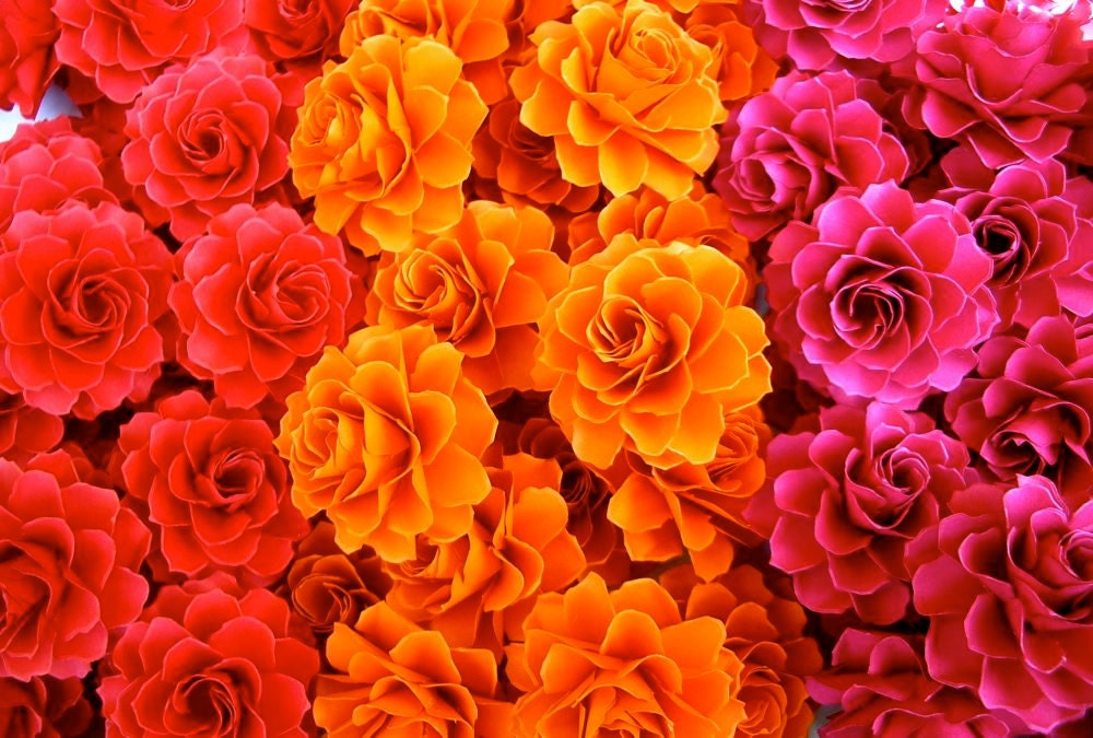 The Rosetta Paper Flowers - Custom Colors - Pack of 40 - Made To Order