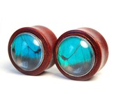 1 inch Butterfly Wing and Bloodwood Plugs Pre-Made