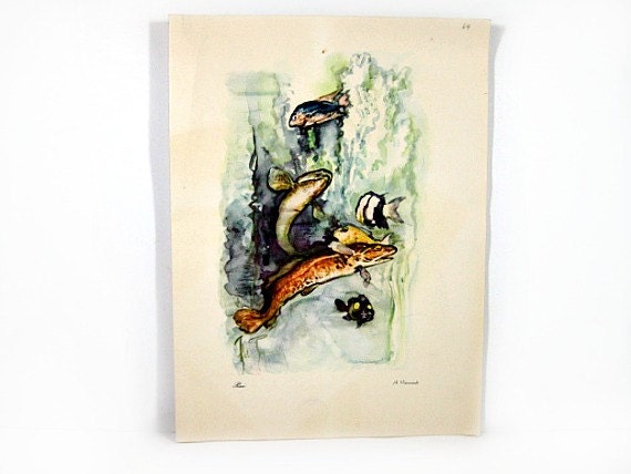 Cruise Ship Menu Italian Line Saturnia Farewell Dinner 1962
