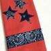 Blue Bandana Red Terrycloth dish towel star applique