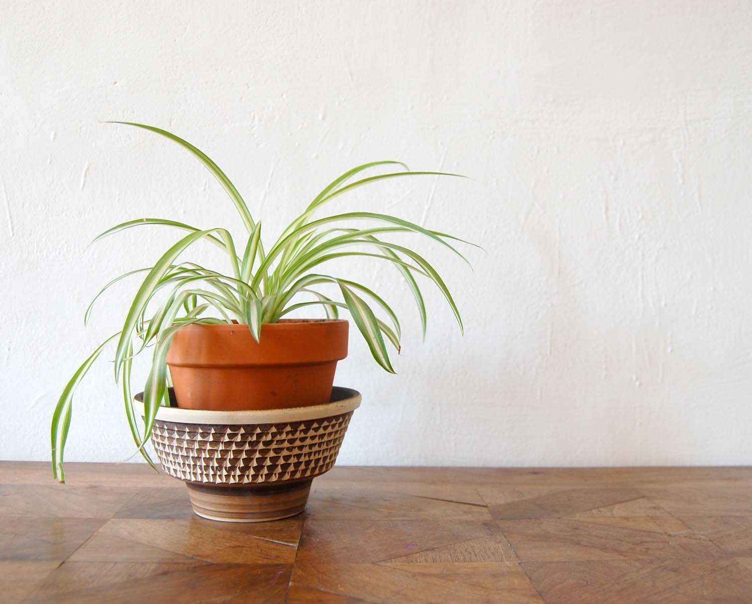French Mid Century Ceramic Planter