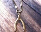 wishbone necklace / LUCKY YOU