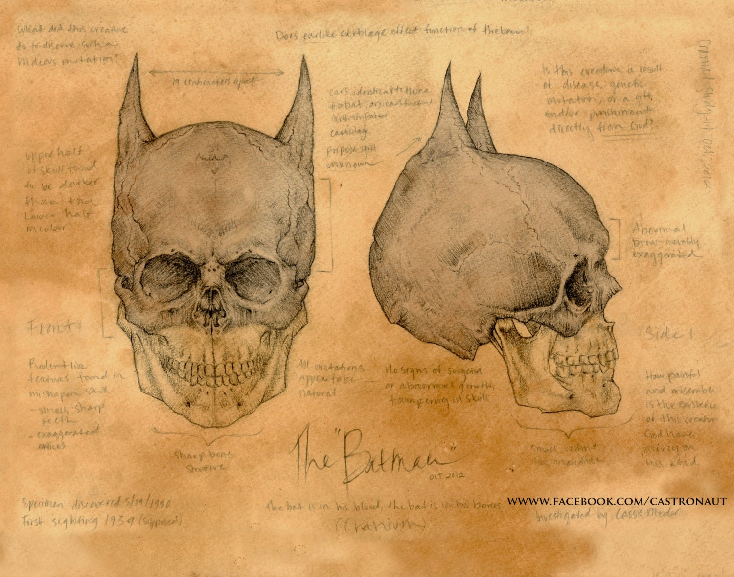 16x20 THE BATMAN Anatomical Skull Study Fan Art Signed Stretched Gallery Canvas Print