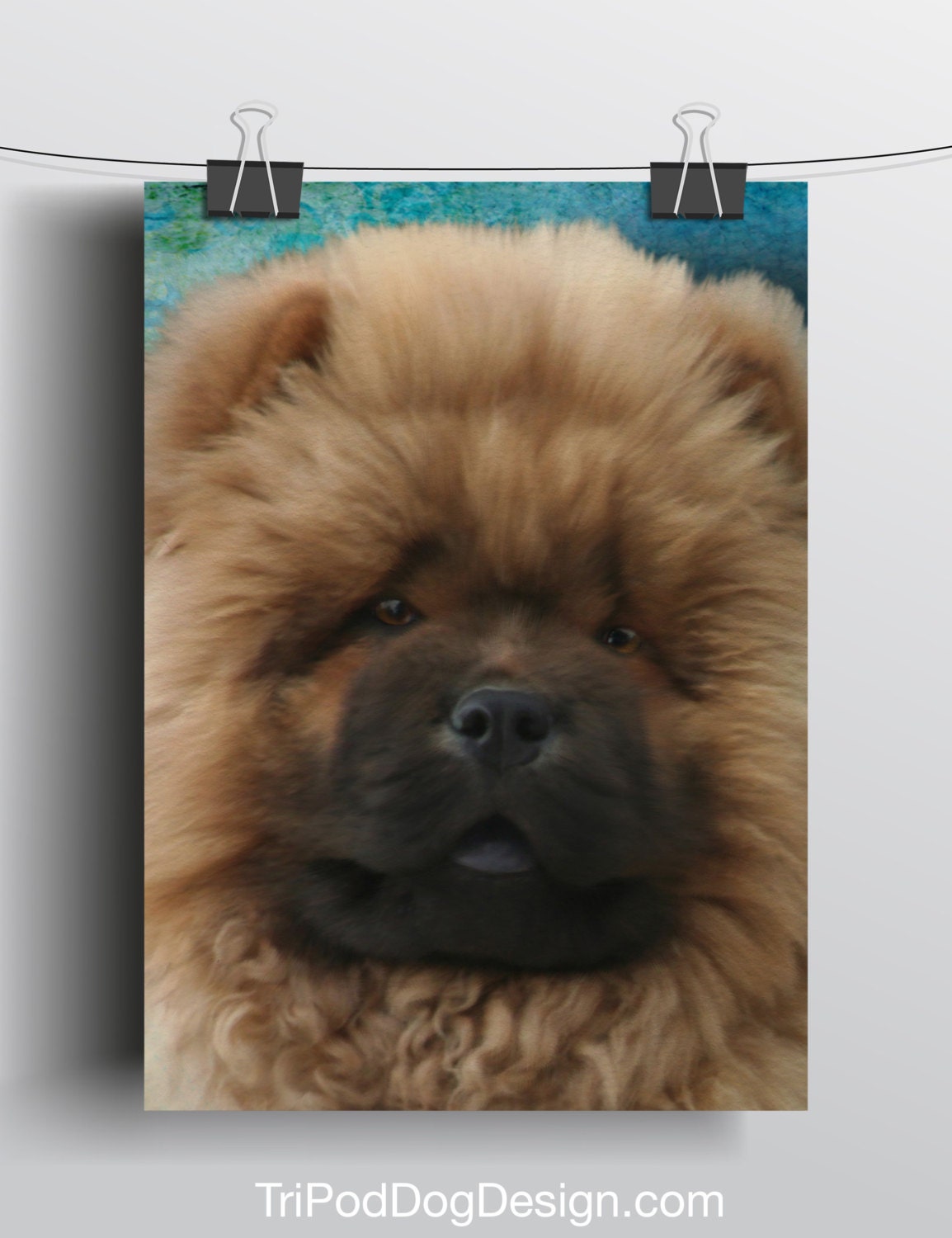 Chow Chow Puppy - 5x7 Giclee print on canvas