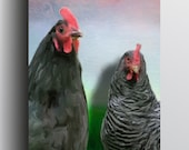 Chicken 2 - 5x7 Giclee print on canvas