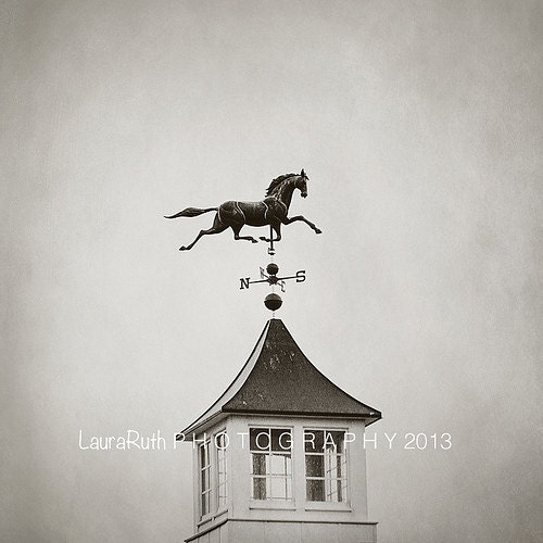 Weathervane Photograph - Black and White Photography - Metal Horse - Country, Rustic, Home Decor - Baby Nursery- Fine Art Photograph