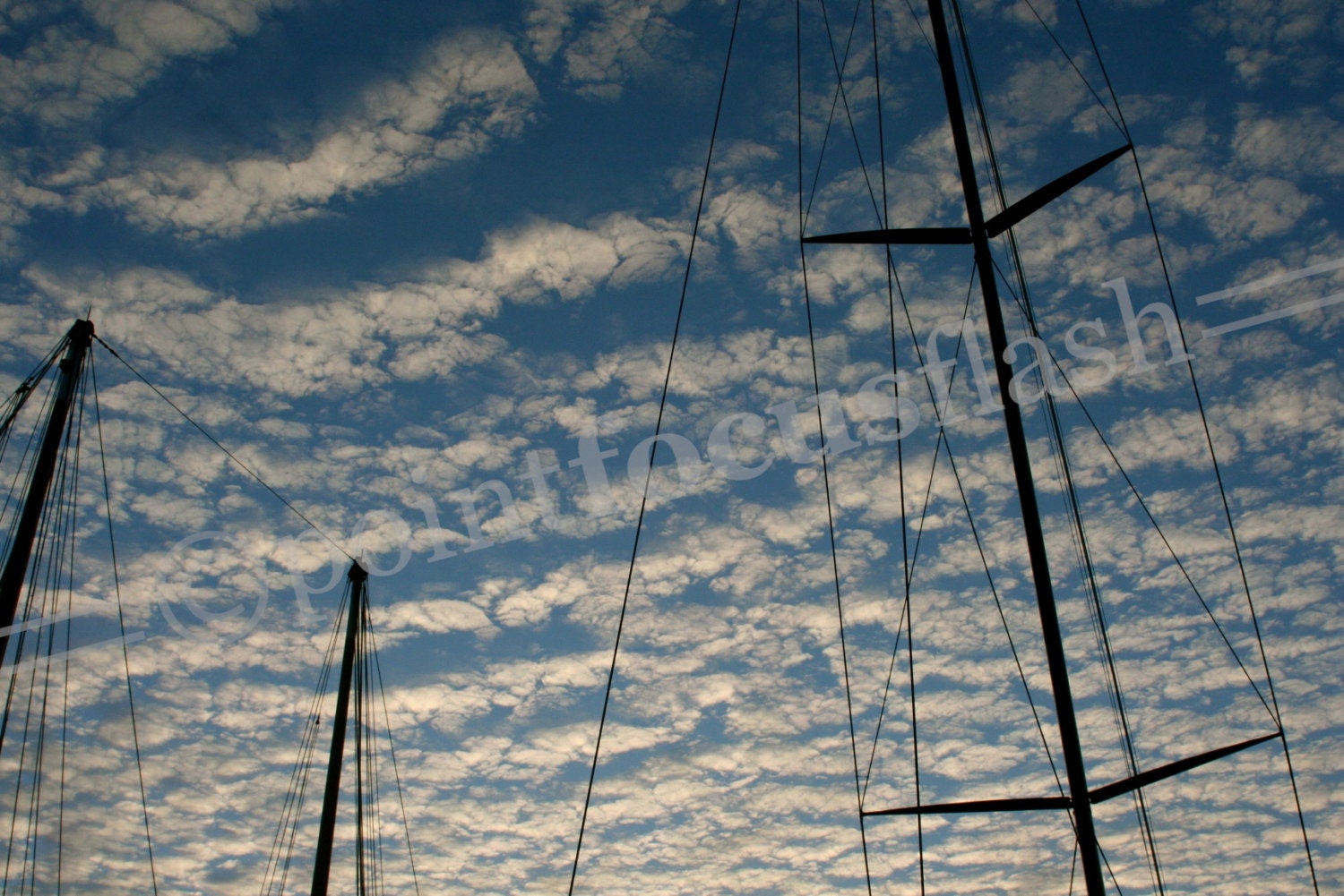 Resting Sails - 5X7 Photo With 8X10 Mat