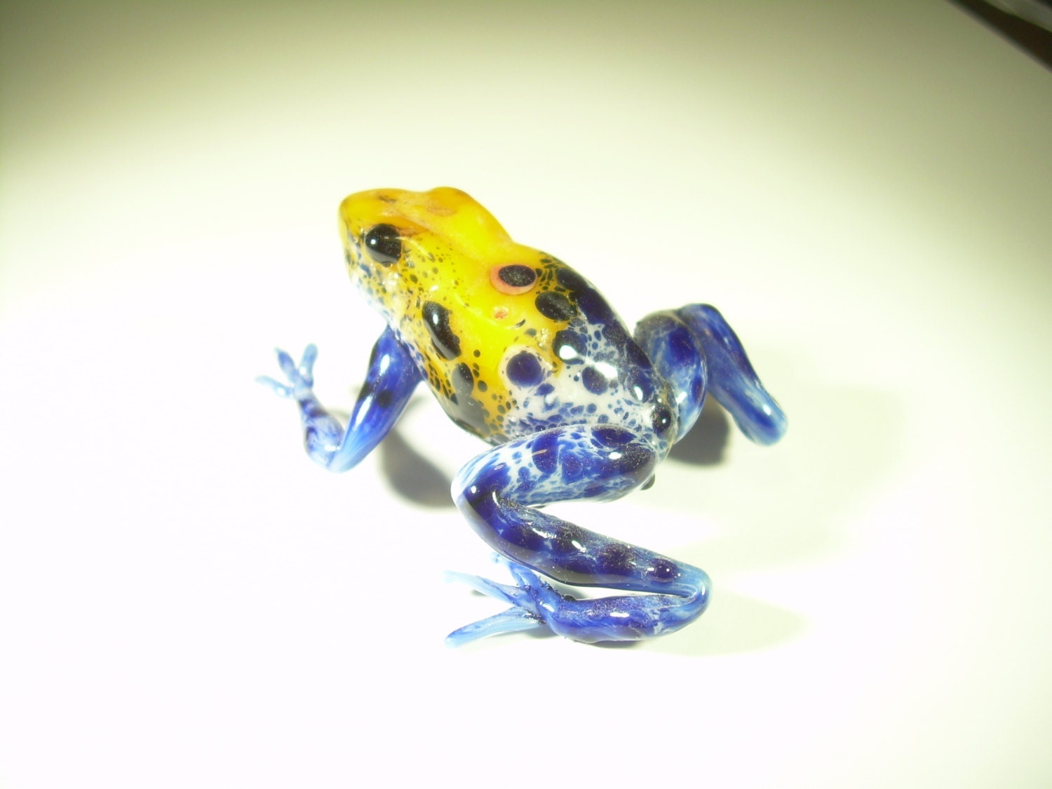 Dart Frog. Yellow and blue dart frog - leeblackglass