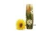 Bud Vase Daisy Hand Painted glass vase botanical design white daisy freen home decor gold Decorative Glass Art