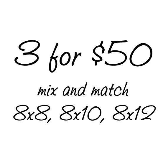 Save 33% on 3 prints - 8"x8", 8"x10", or 8"x12" - mix & match