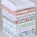 Inside Voices IV Low Volume Fabric Bundle of Twelve Half Yards