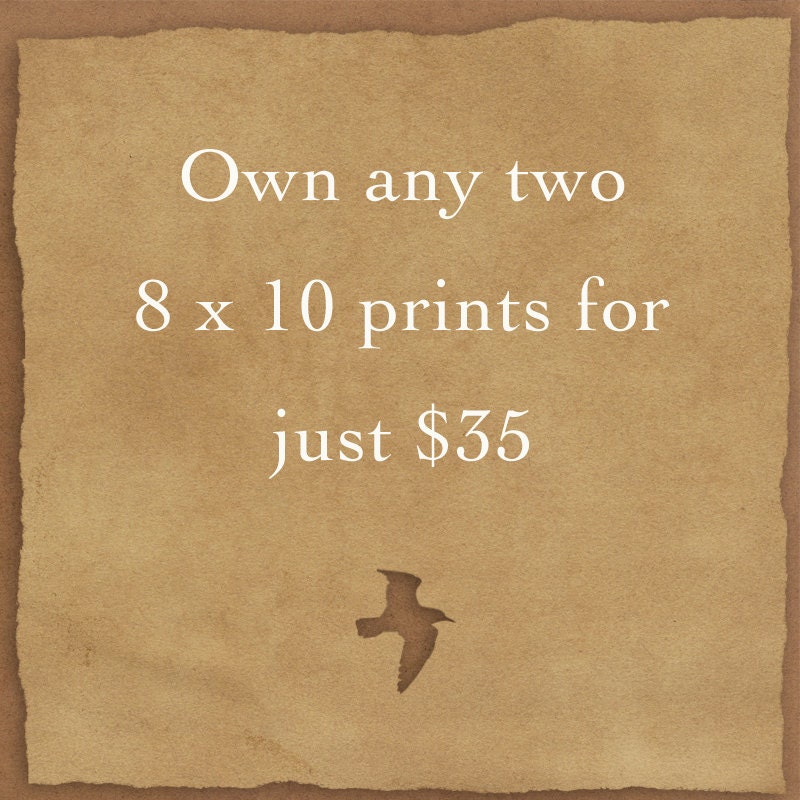 Own any two 8 x 10 Follow The Raven fine art prints at a special low price