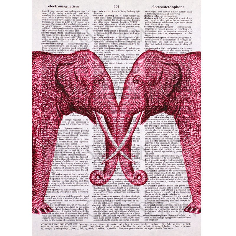Elephant Eyes Print on a Vintage Dictionary Page