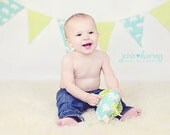 ORGANIC  Blue & Green Elephant  Pennant Bunting Banner - great for birthday party decor, nursery, playroom, photo prop