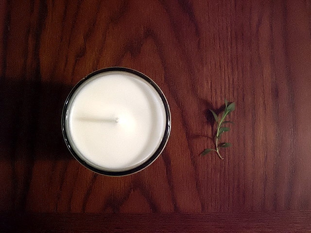 Mediterranean Fig Soy Candle - Exotic and seductive fragrance, highly fragrant