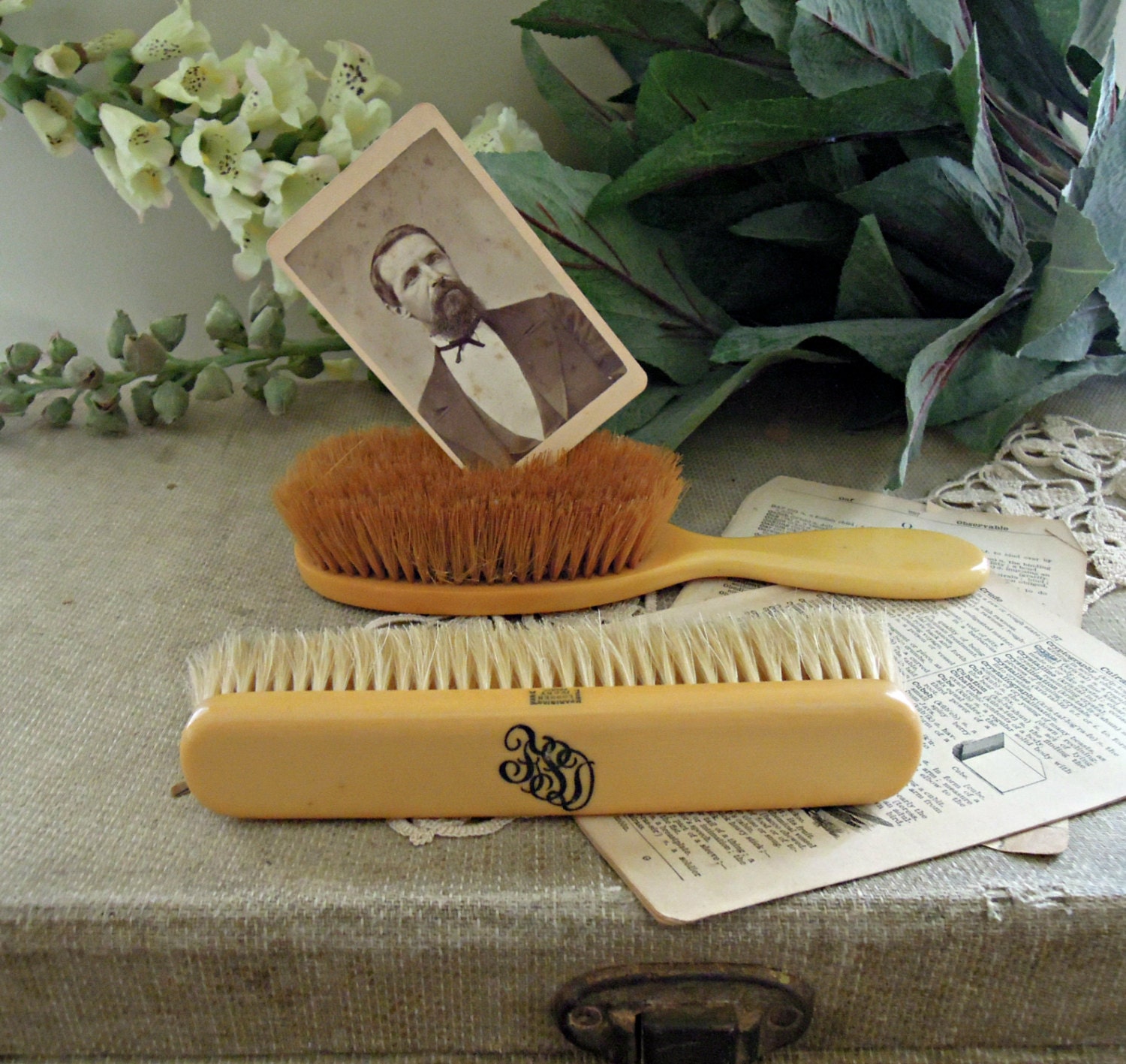 Vintage Golden Celluloid Brushes / Set of Two / Loonen Ivory France