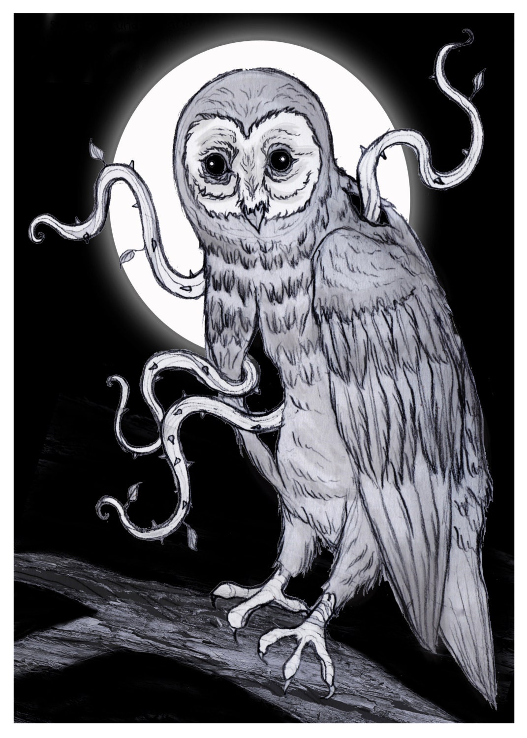 vine owl full moon postcard print 5 x 7