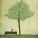 Under the cherry tree - Summer - Largest size (A3, 11.7" x 16.5")
