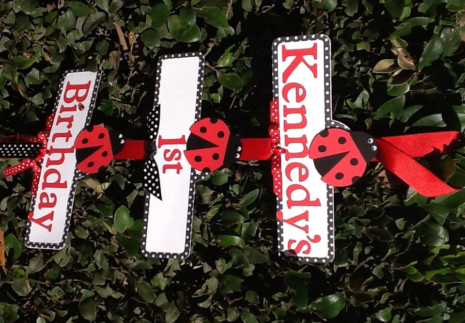 Lady Bug Party Sign