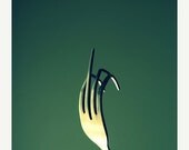 SALE 30% OFF Fork You 5x5 Fine Art Photography Green Funny Rude kitchen art humor Wall Art