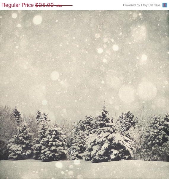 SALE 30% OFF Winter Art: Snow Globe 8x8 Fine Art Photography, Snow Bokeh Tree Wall Art white Nature Wall Art
