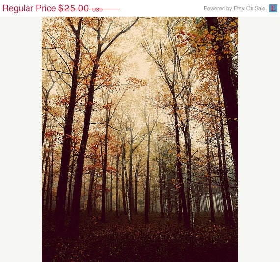 SALE 30% OFF Fall Tree Wall Art: Into the woods 8x10 Fine Art Photography, woodland print, Nature Photography Forest vertical print
